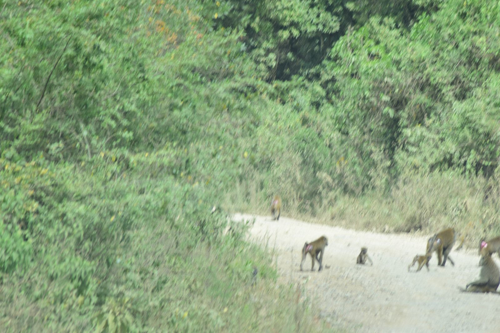 Meru Crater View